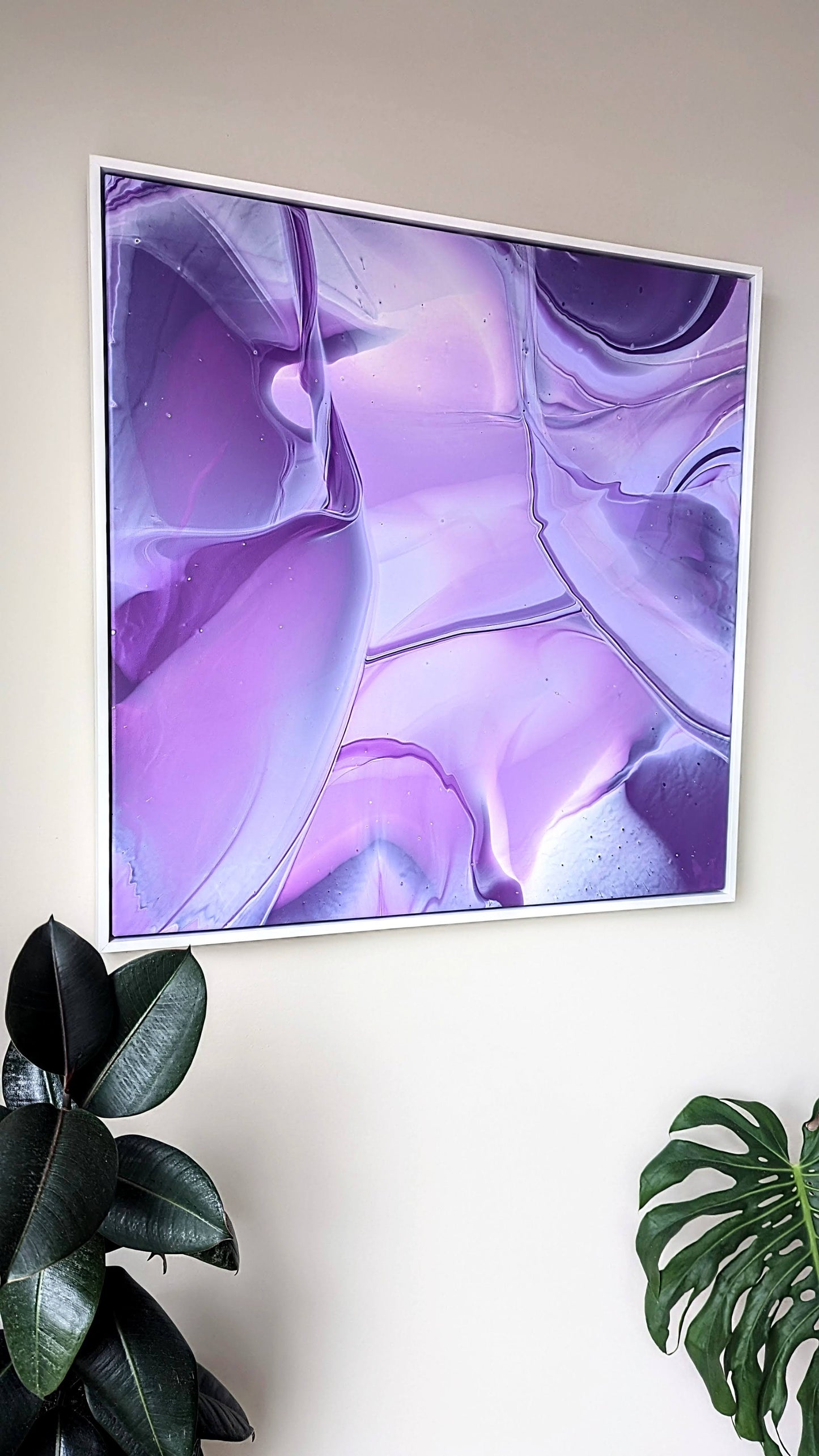 Mauve Implusion